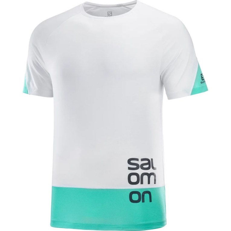 Camiseta Salomon Cross Run Gráficas Curta Sleeve Masculino Branco Turquesa | PT B70463